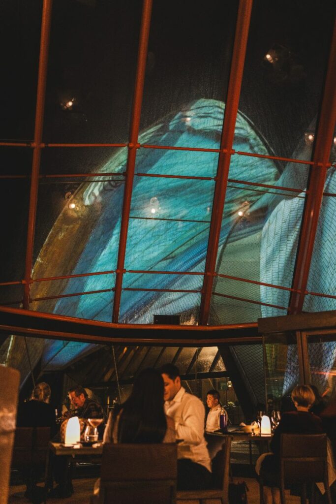 Dining at Bennelong in the shells of the opera house