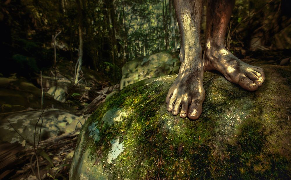 Man's feet standing on a mossy rock on the Blue Mountains Aboriginal Walkabout