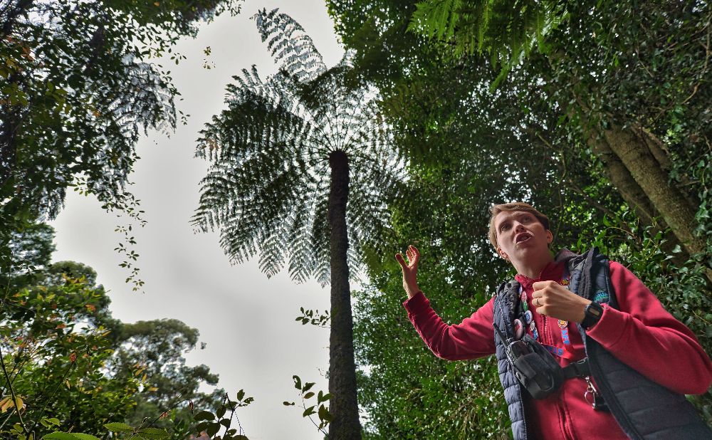 Our Bunya Guide Stefanie, Credit: David Hill