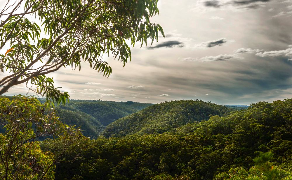 View from Martins Lookout, Springwood.