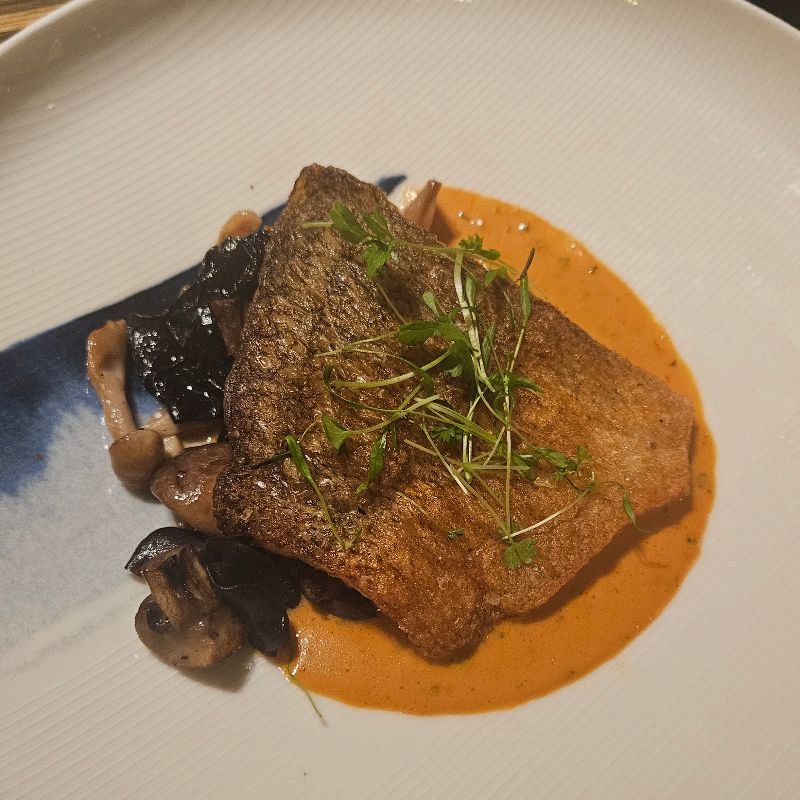 Seafarer Dinner Hyatt Regency Sydney Aquana Murry Cod with wild mushrooms + creamy bisque + marjoram 