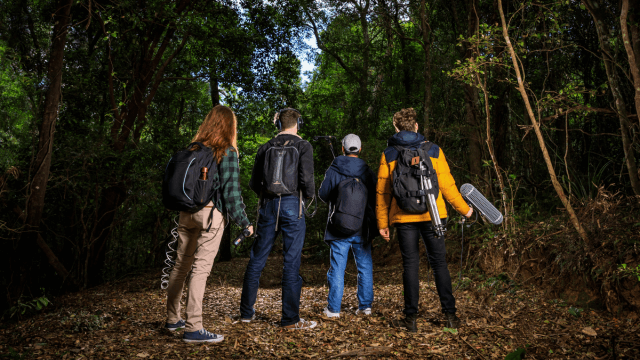 4 people in a forest looking for a yowie