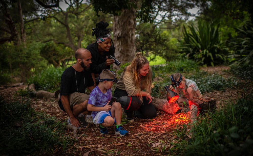 spotlight tour at the Royal Botanic Gardens