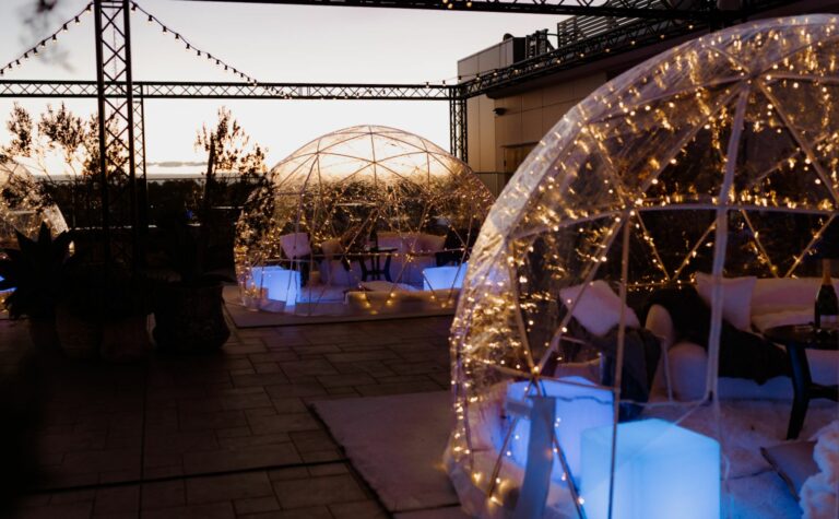 Lady Banks Igloos Bankstown Sports Club Credit Peter Petinos