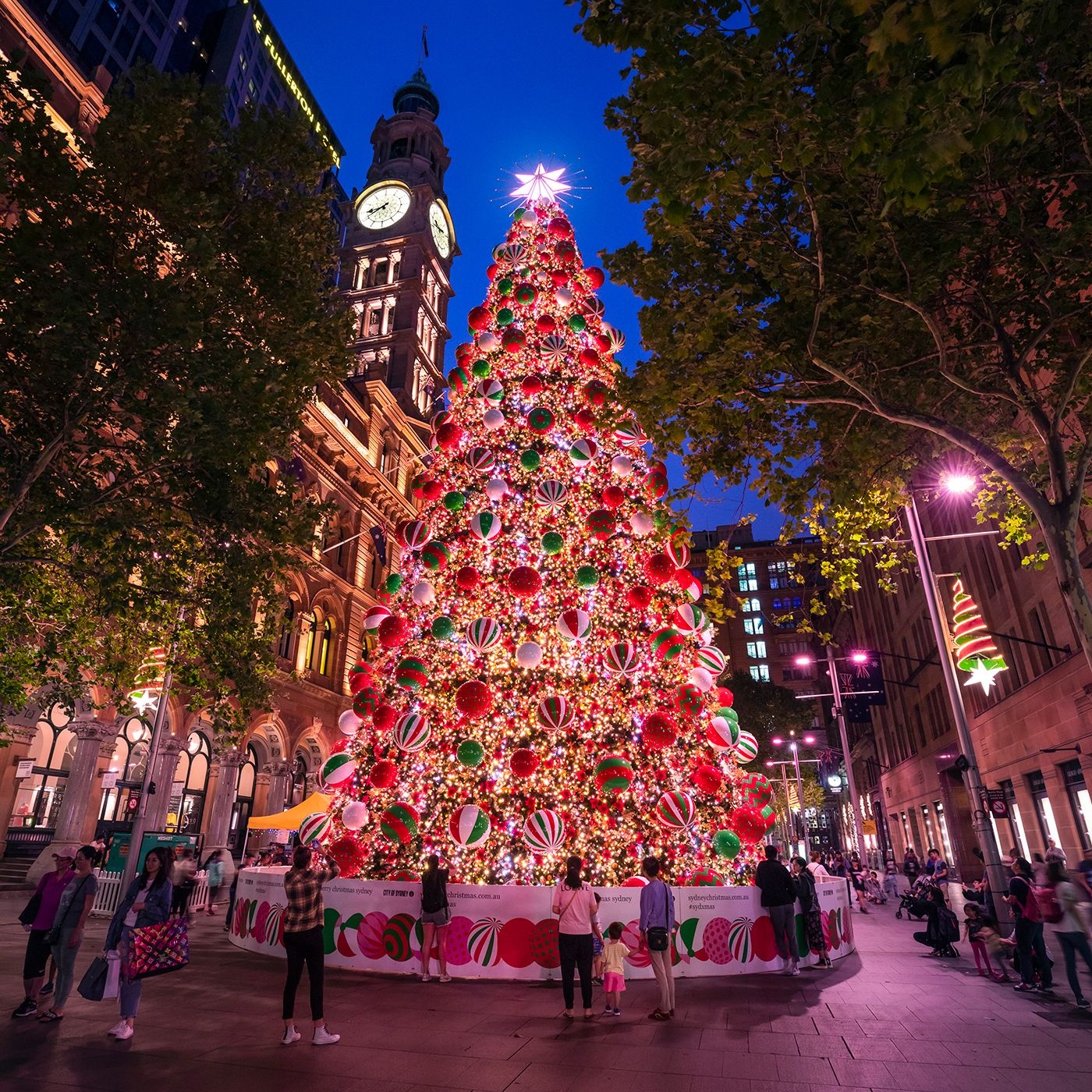 The Martin Place Christmas tree illuminated by lights. Credit: Destination NSW
