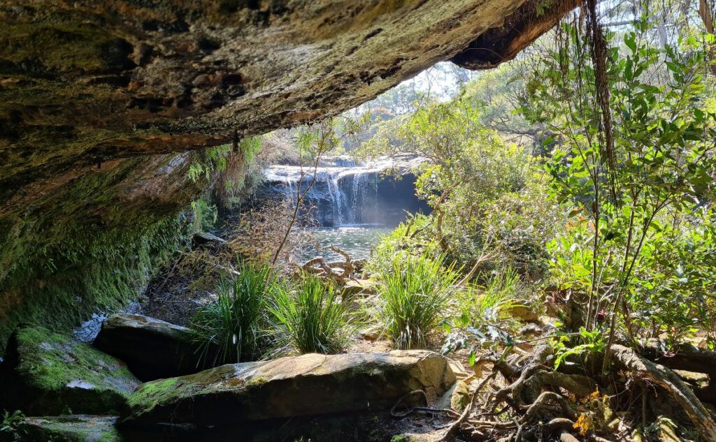 Nellies Glen Waterfall Southern Highlands NSW