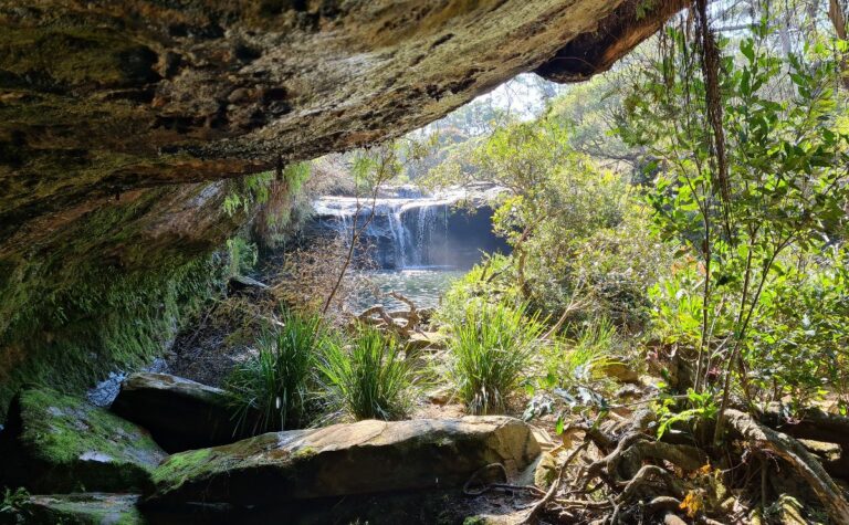 Nellies Glen Waterfall Southern Highlands NSW