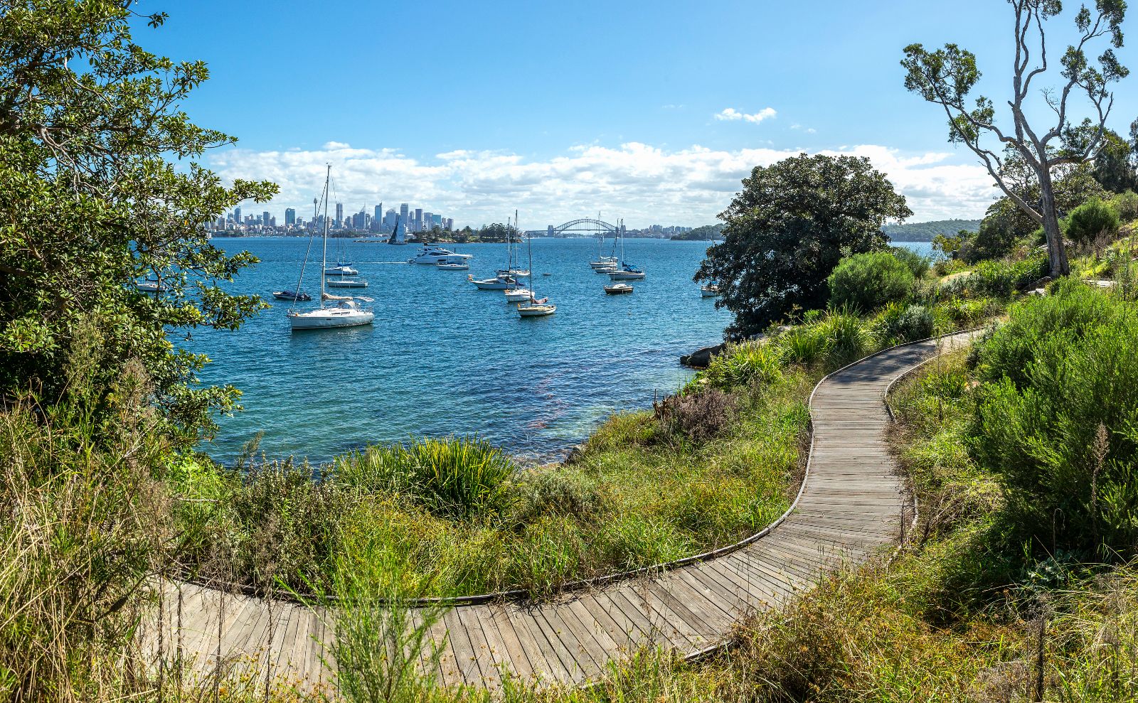 Rose Bay walk