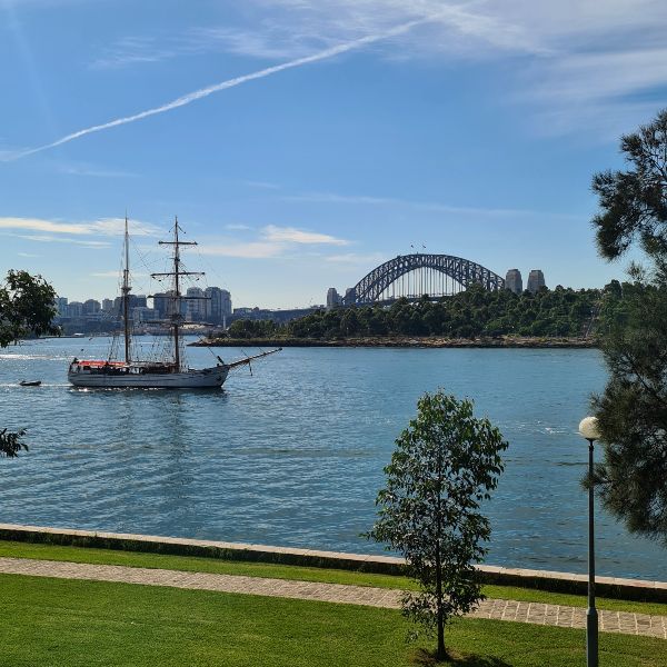 Illoura Reserve Balmain NYE View