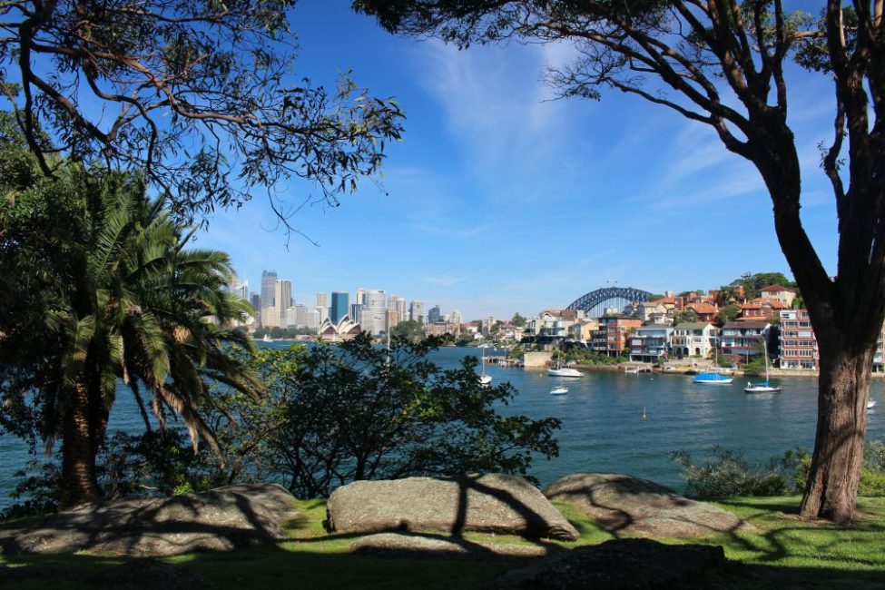 Cremorne Point NYE view