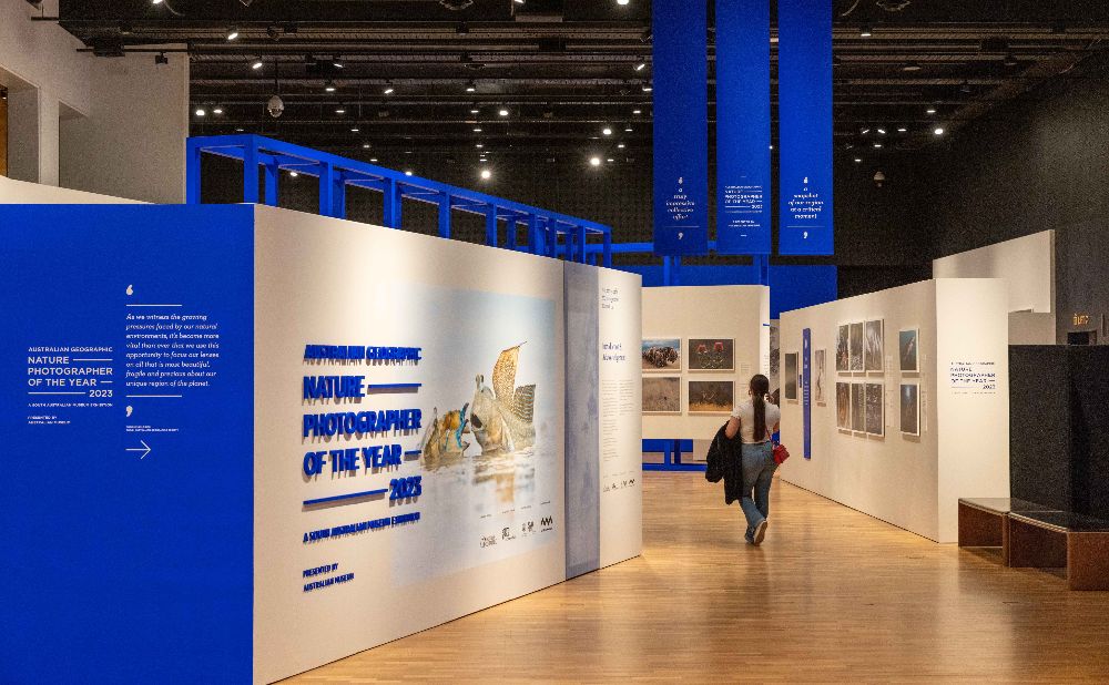 Nature Photographer of the year Exhibit at the Australia Museum