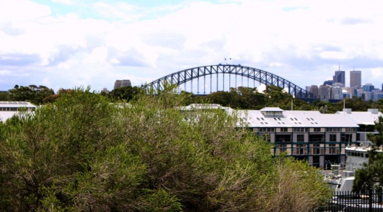 Embarkation Park offers some Harbour Bridge views.