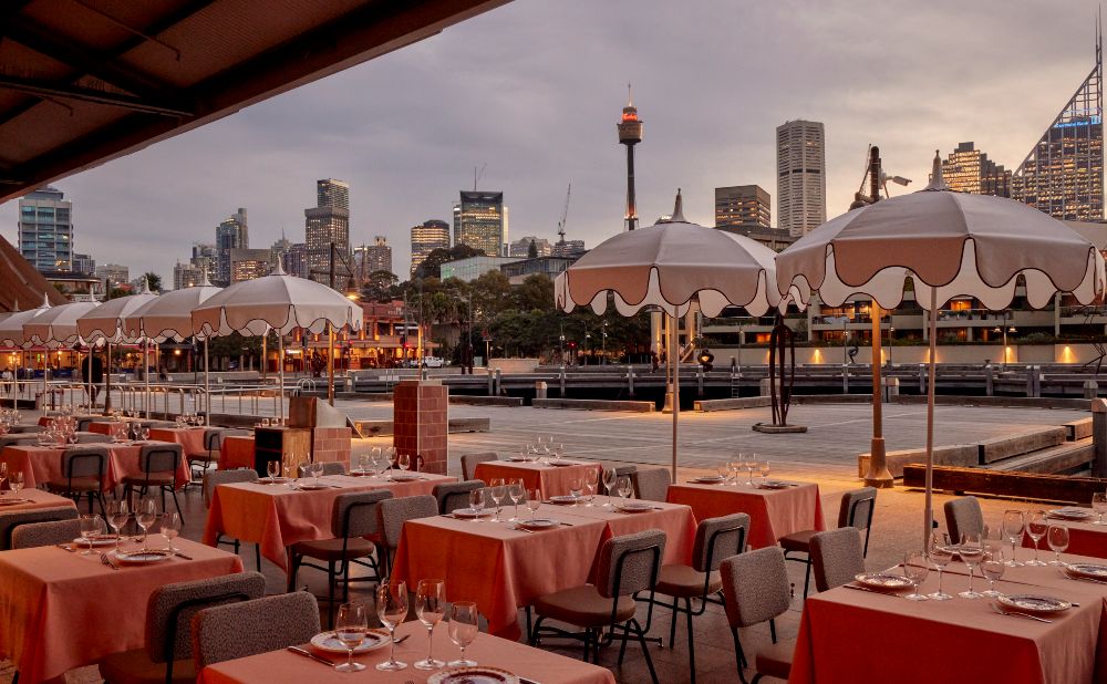 Atki with Sydney cbd in background  Credit: Jacqui Turk