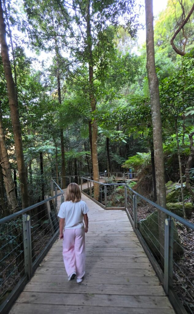 Scenic World boardwalk