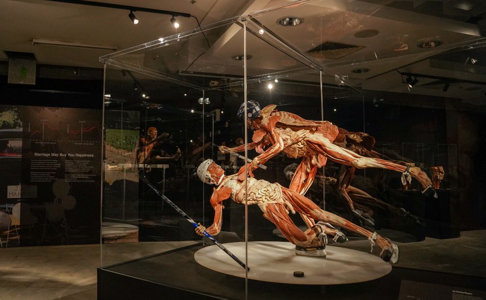 Bodyworks Exhibit Sydney