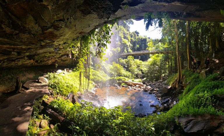 Crystal Shower Falls Dorrigo NP