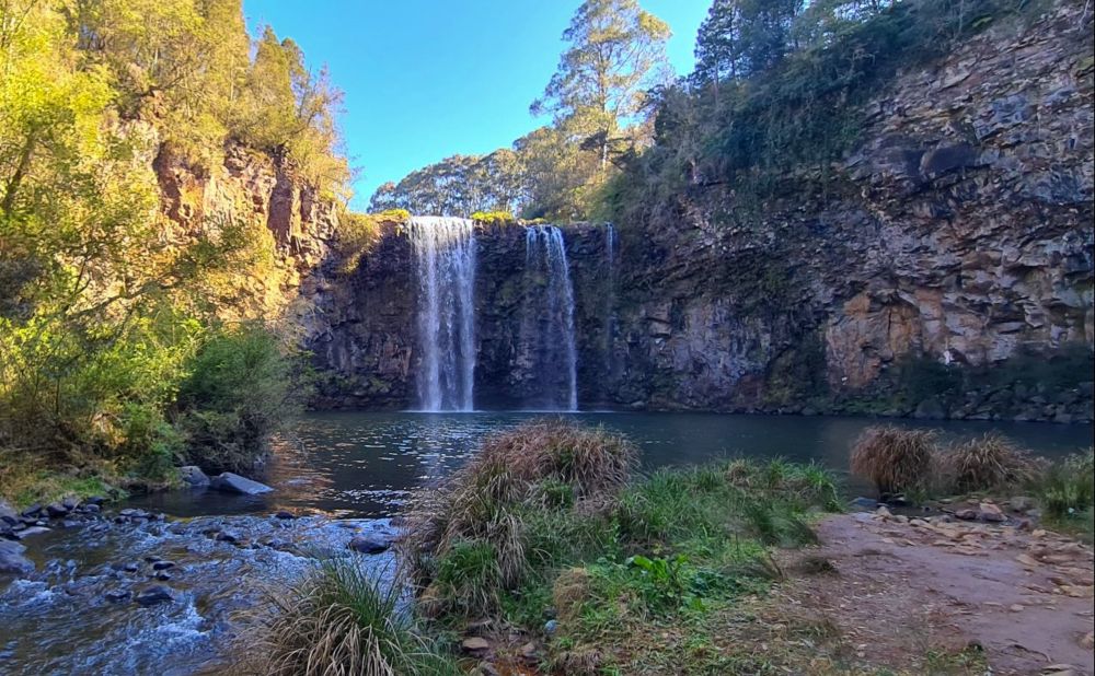Dangar Falls in Dorrigo NSW 