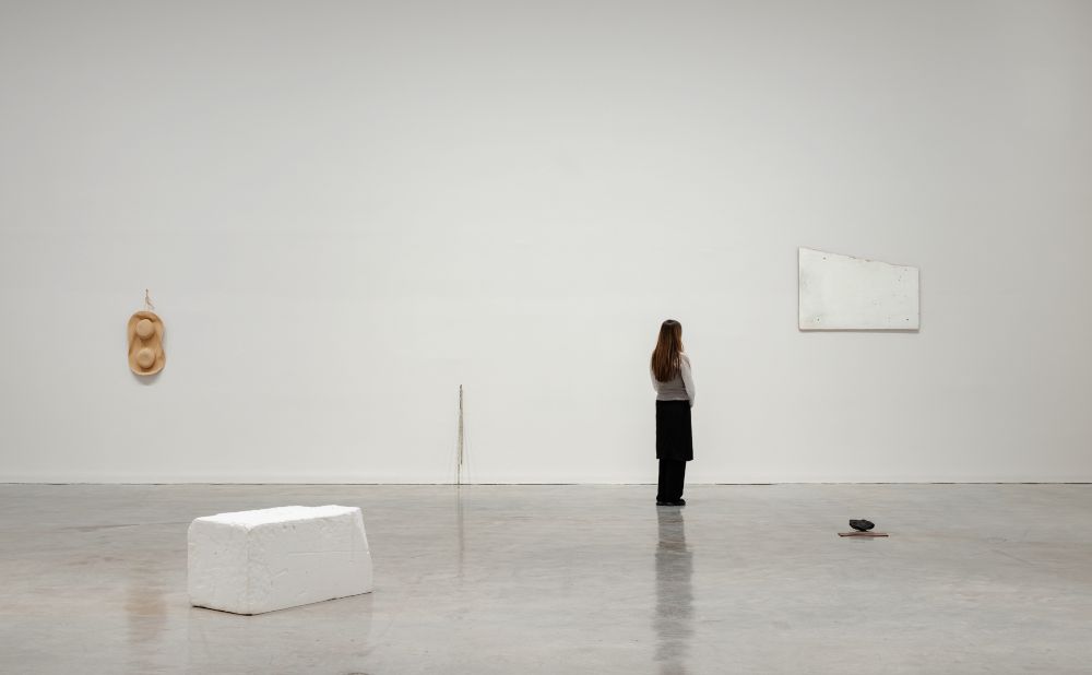 A woman looking at the Hany Armanious - The Planets, Museum of Contemporary Art Australia