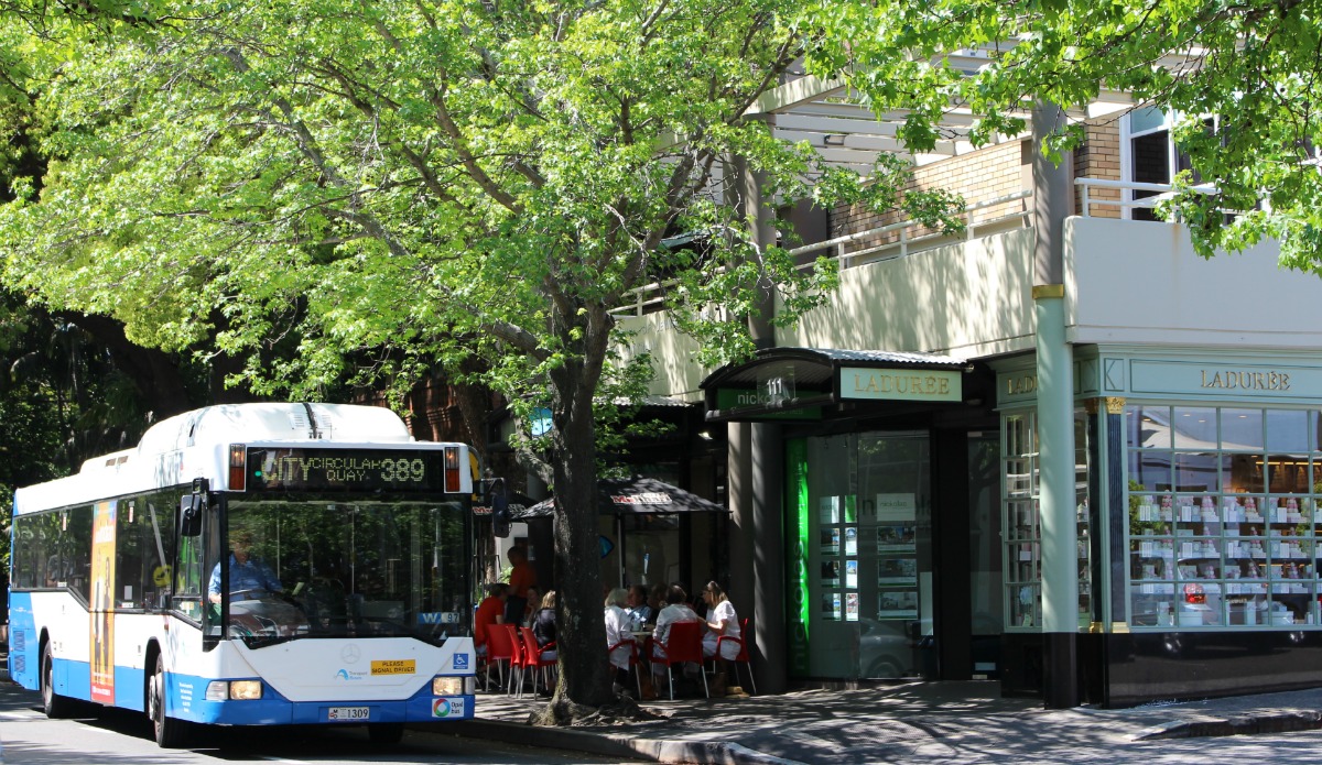 Pyrmont to Bondi bus route 389