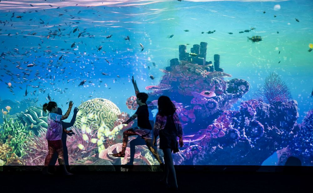 Box of Birds presents Shipwreck Odyssey at Carriageworks 
