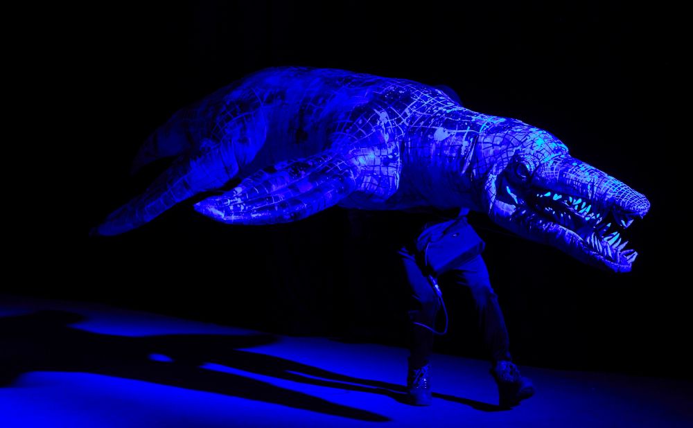 Where is the green sheep production photo