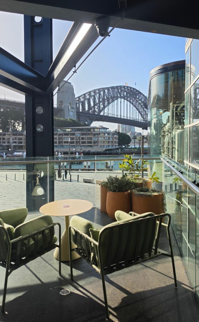 Oriana Bar view