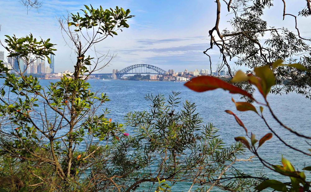 Looking back to Sydney City with the Opera House and Harbour Bridge in the distance from the track