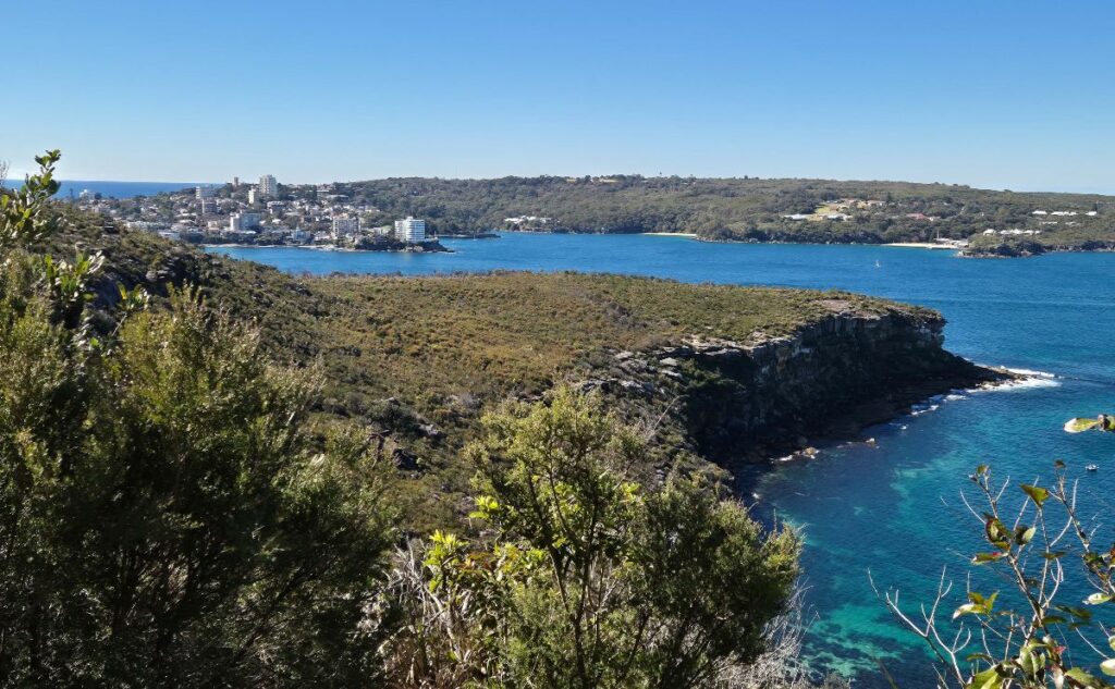 Manly viewed from the Manly to Spit Bridge track